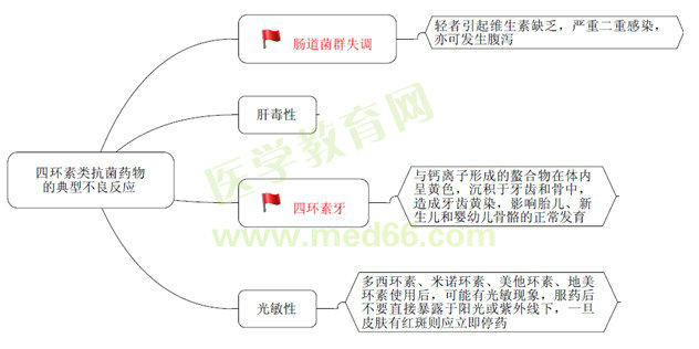 《藥學專業(yè)知識（二）》“那點小事兒”