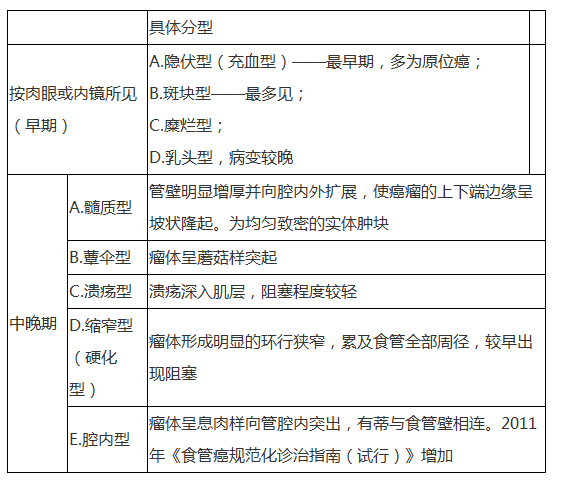 食管癌的病理分型