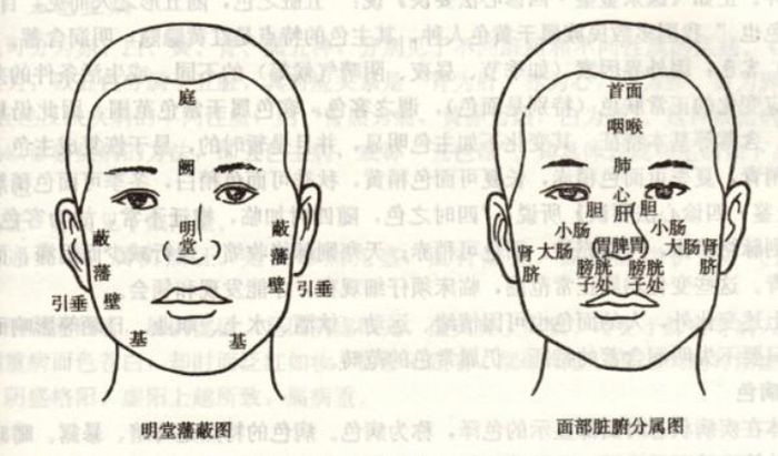 【中醫(yī)診斷】2019年中醫(yī)助理醫(yī)師考試中醫(yī)診斷學(xué)精華考點