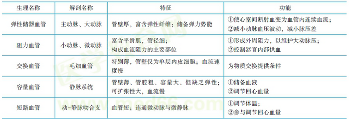 各類(lèi)血管的功能特征