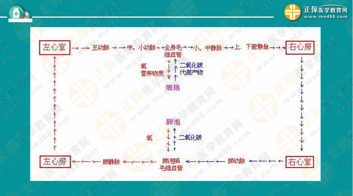 醫(yī)療衛(wèi)生考試筆試備考指導來了，共計2863頁書！怎么學？