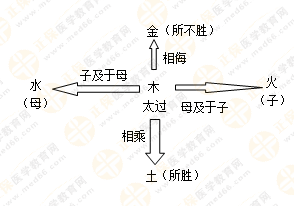 專業(yè)師資帶你學(xué)（五）：執(zhí)業(yè)藥師《中藥綜》五行學(xué)說！學(xué)習(xí)要有方法！