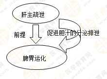 《中藥學(xué)綜合知識與技能》的藏象