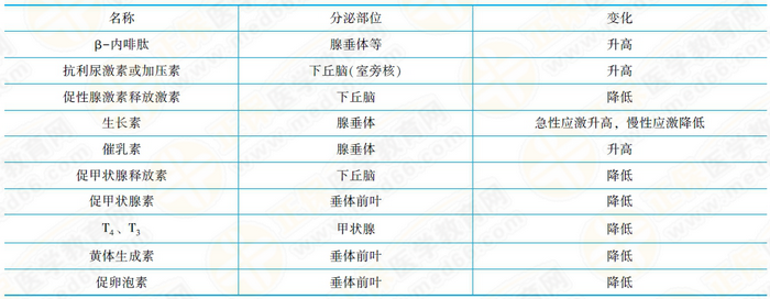 應(yīng)激時內(nèi)分泌變化 