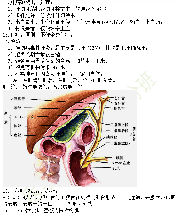 30個(gè)有關(guān)肝炎、膽囊炎相關(guān)考點(diǎn)匯總-臨床執(zhí)業(yè)醫(yī)師消化系統(tǒng)第九期！