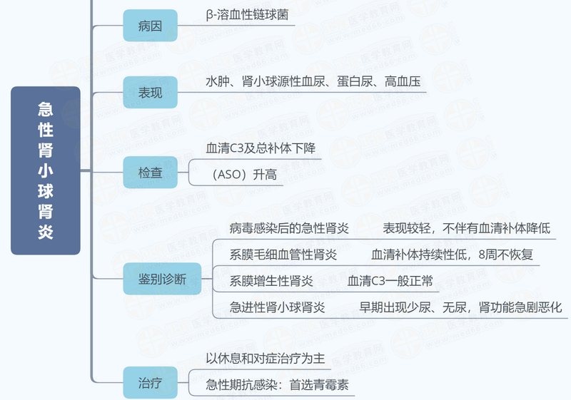 急性腎小球腎炎