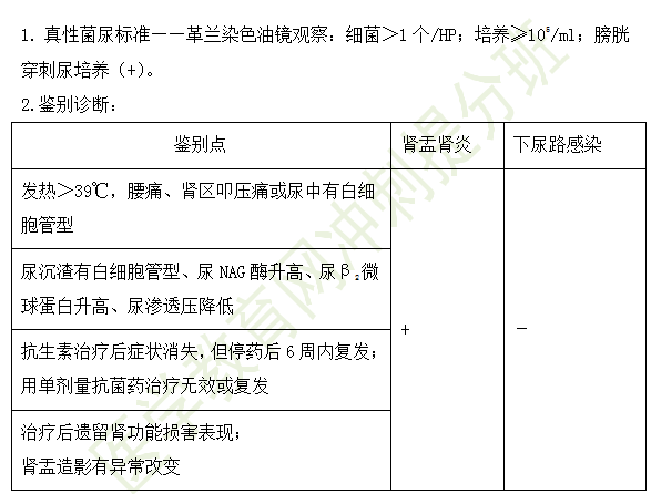 急性腎盂腎炎的診斷及鑒別診斷