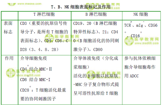 T、B、NK細(xì)胞表面標(biāo)記及作用