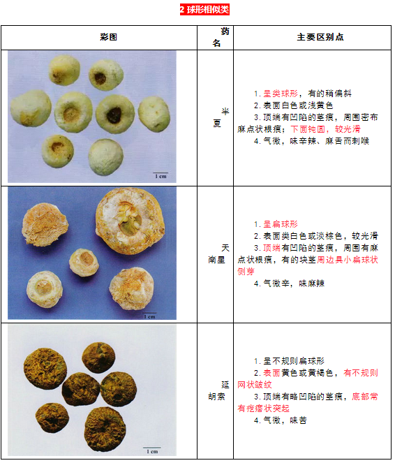 每日沖刺計(jì)劃！2019執(zhí)業(yè)藥師《中藥學(xué)專業(yè)知識二》第一篇！