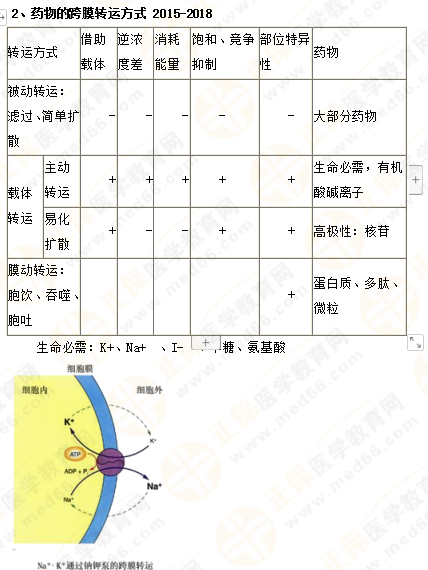 2019年執(zhí)業(yè)藥師《藥一》的藥劑學(xué)，15分鐘經(jīng)典回顧！