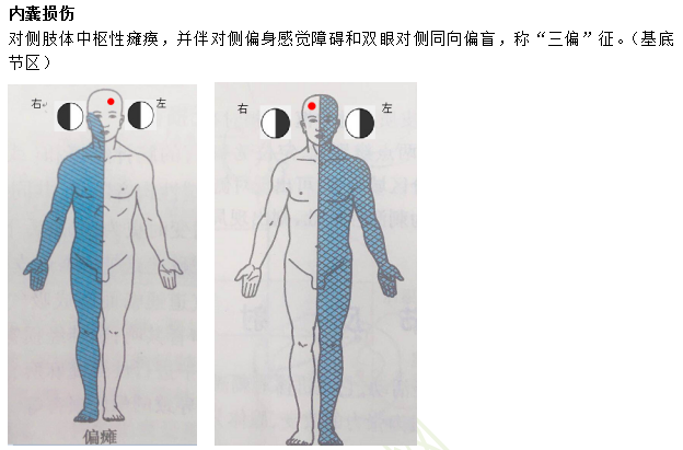 臨床助理醫(yī)師考點