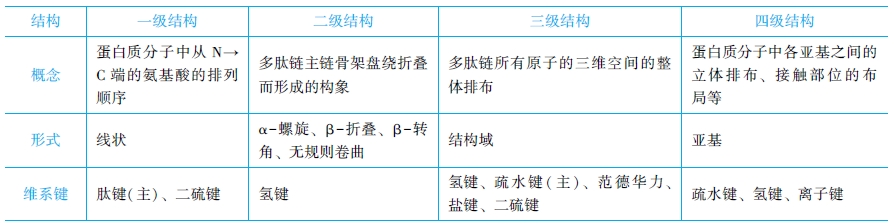 蛋白質(zhì)分子結(jié)構的比較