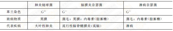 幾種常見(jiàn)致病球菌特點(diǎn) 