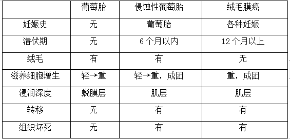 絨癌、侵蝕性葡萄胎、葡萄胎的鑒別