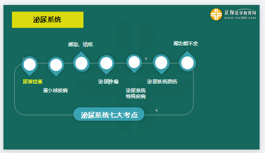 泌尿系統(tǒng)7大考點