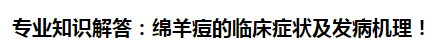 專業(yè)知識(shí)解答：綿羊痘的臨床癥狀及發(fā)病機(jī)理！