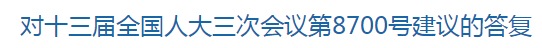 對十三屆全國人大三次會議第8700號建議的答復