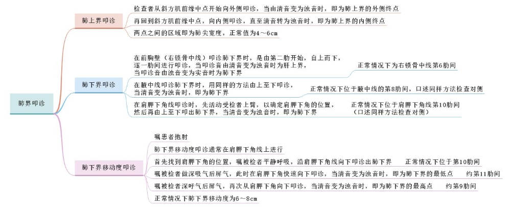 體格檢查——肺界叩診、肺下界移動(dòng)度叩診