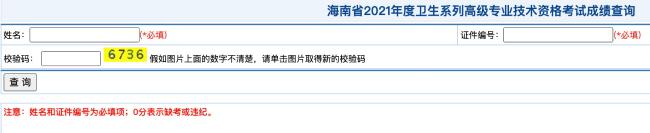 海南省2021年度衛(wèi)生系列高級專業(yè)技術(shù)資格考試成績查詢