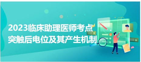 2023臨床助理醫(yī)師考點(diǎn)-突觸后電位