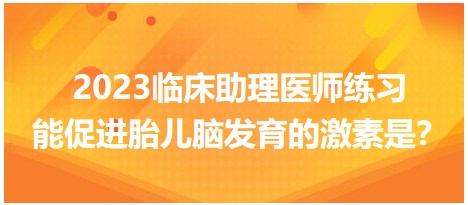 2023臨床助理醫(yī)師練習(xí)-促進(jìn)胎兒腦發(fā)育的激素是？