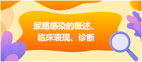 尿路感染的概述、臨床表現、診斷