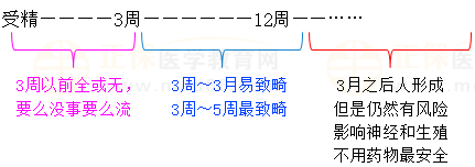 妊娠期婦女用藥1