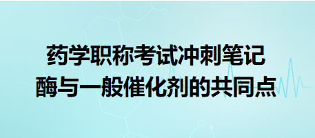 酶與一般催化劑的共同點(diǎn)-2024藥學(xué)職稱考試沖刺筆記