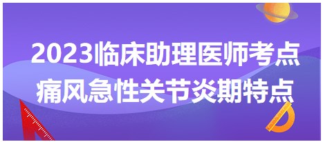 痛風(fēng)急性關(guān)節(jié)炎期特點(diǎn)