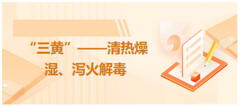 “三黃”——清熱燥濕、瀉火解毒