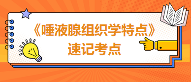 《唾液腺組織學特點》速記考點